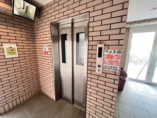 深井駅 徒歩15分 5階の物件内観写真